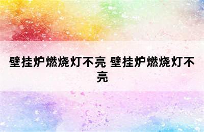 壁挂炉燃烧灯不亮 壁挂炉燃烧灯不亮